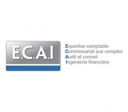 PROGEDIM_ECAI_logo